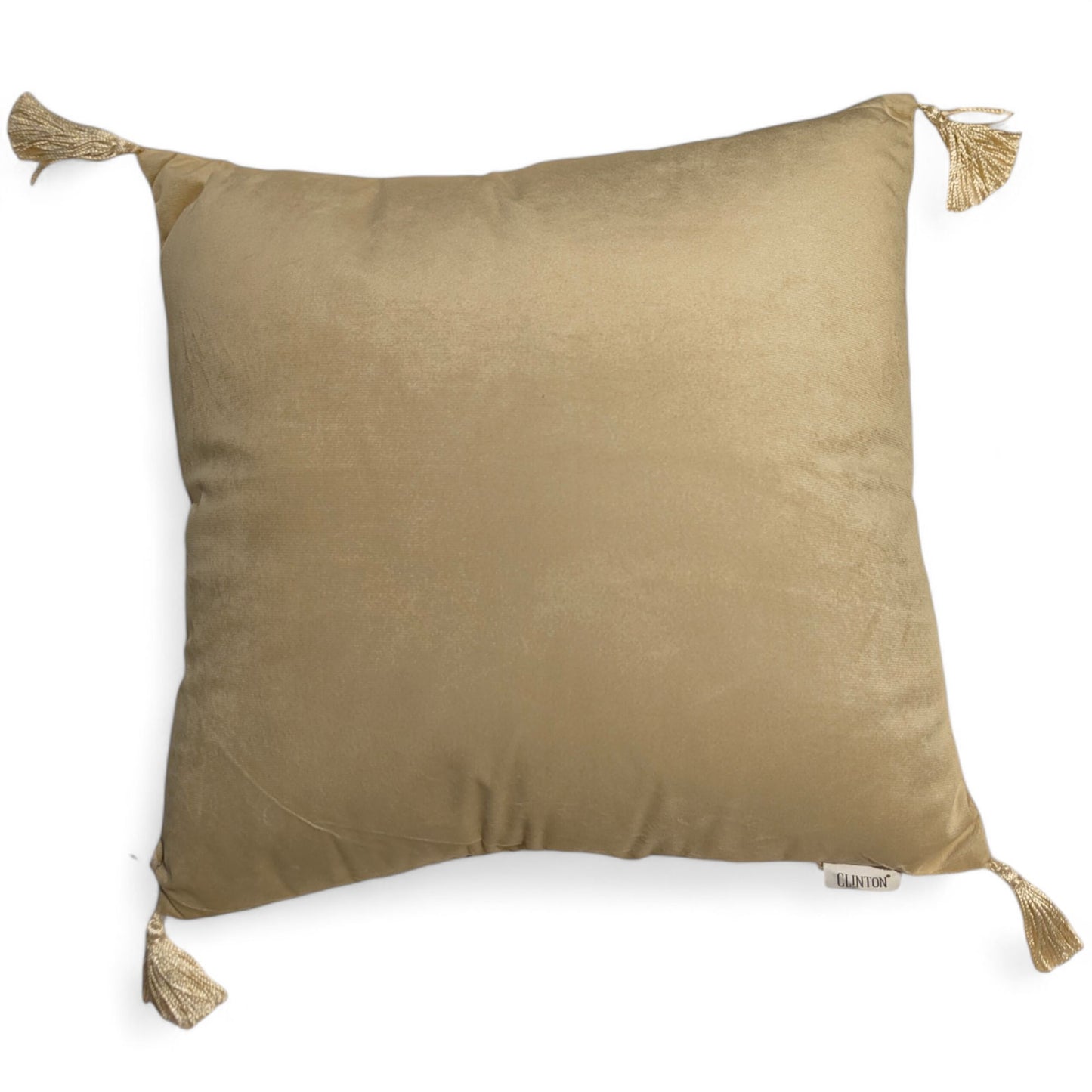Velvet Shimmer Cushion 45.7x45.7cm - Luxurious Decorative Pillow for Elegant Home Decor