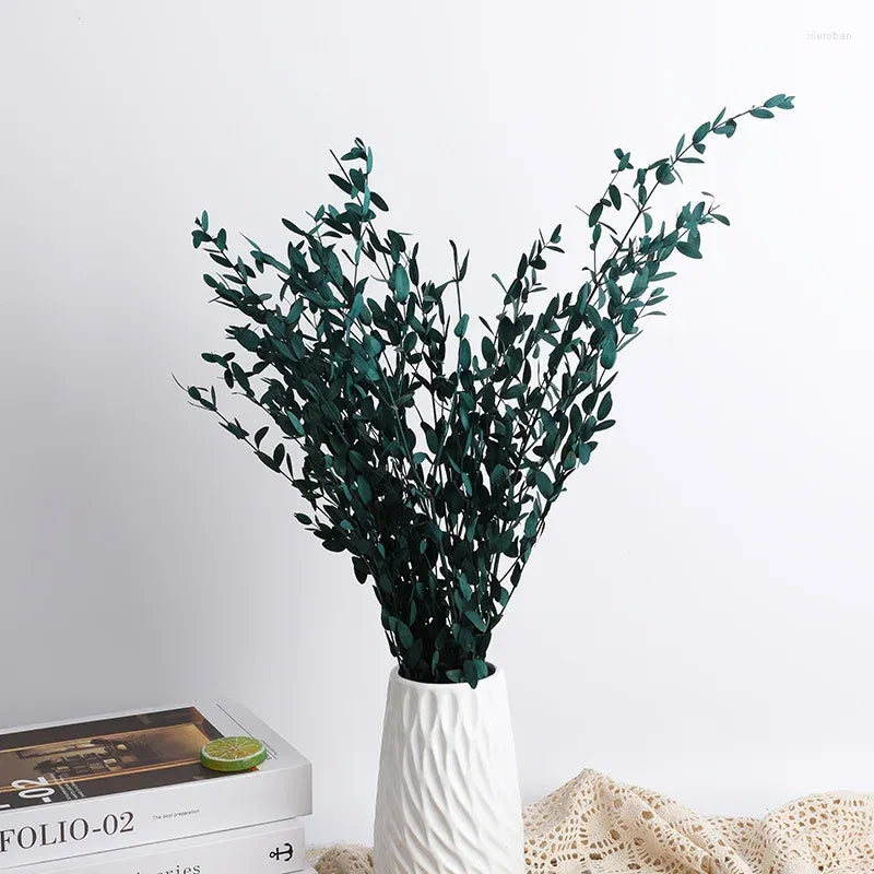 Dried eucalyptus stem (blue) – elegant and long-lasting decorative foliage, perfect for floral arrangements, home décor, and event styling, adds a natural and refreshing touch to vases, bouquets, and centerpieces.