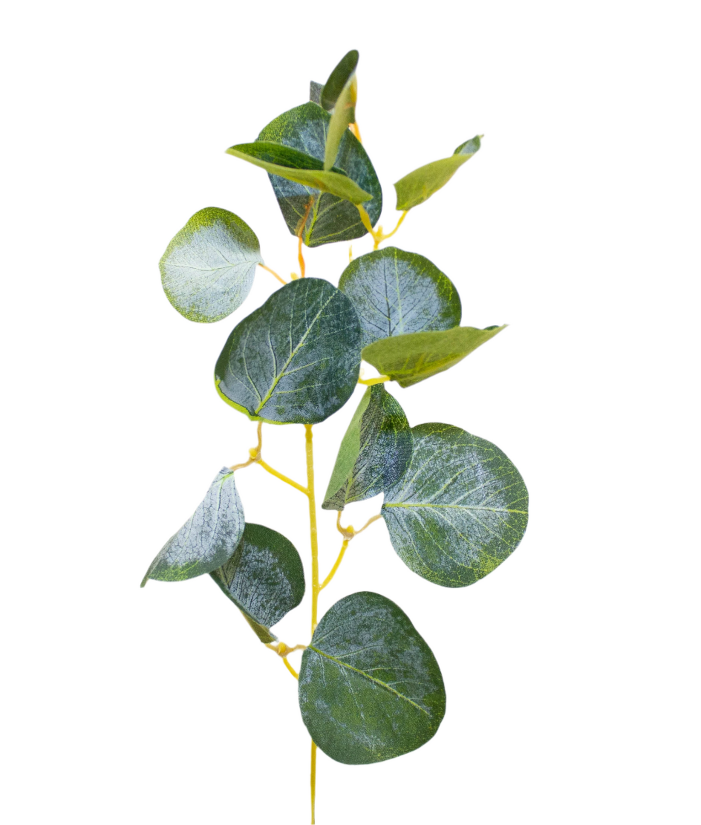 Eucalyptus Pick 34 cm - Realistic Artificial Eucalyptus Stem with Lush Green Leaves and Natural Detailing - Perfect for Floral Arrangements, Wreaths, Bouquets, Centerpieces, and Home Décor - Long-Lasting and Low Maintenance