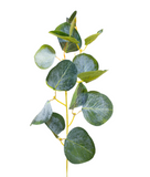 Eucalyptus Pick 34 cm - Realistic Artificial Eucalyptus Stem with Lush Green Leaves and Natural Detailing - Perfect for Floral Arrangements, Wreaths, Bouquets, Centerpieces, and Home Décor - Long-Lasting and Low Maintenance