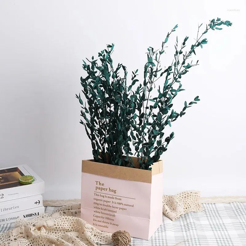 Dried eucalyptus stem (blue) – elegant and long-lasting decorative foliage, perfect for floral arrangements, home décor, and event styling, adds a natural and refreshing touch to vases, bouquets, and centerpieces.