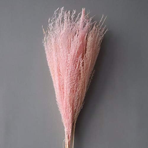 Colorful reed (pink) – soft and elegant dried pampas grass, perfect for home décor, floral arrangements, and event decorations, adds a natural and bohemian touch to vases, bouquets, and centerpieces.