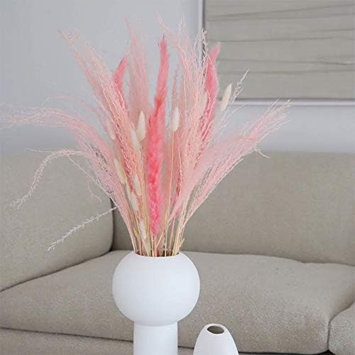 Colorful reed (pink) – soft and elegant dried pampas grass, perfect for home décor, floral arrangements, and event decorations, adds a natural and bohemian touch to vases, bouquets, and centerpieces.