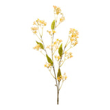 Daphne Spray Cream/Brown (Dry Look) - Realistic Artificial Daphne Stem with Cream and Brown Tones - Perfect for Floral Arrangements, Wreaths, Bouquets, and Home Décor - Long-Lasting and Low Maintenance