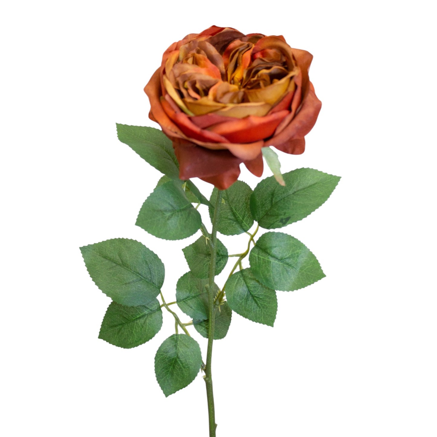 Garden Rose Orange/Brown 50 cm (GR5017) - Realistic Artificial Rose Stem with Warm Orange and Brown Blooms - Perfect for Floral Arrangements, Bouquets, Wreaths, and Home Décor - Long-Lasting and Low Maintenance