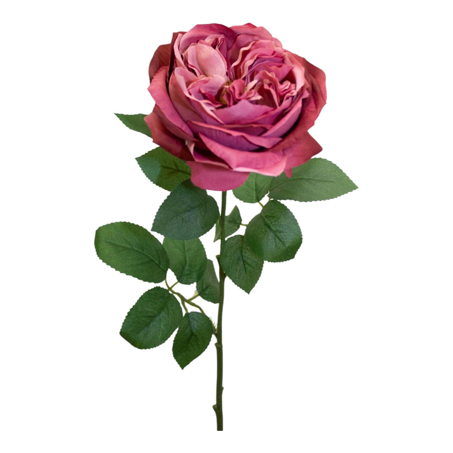 Garden Rose Dusty Rose 50 cm - Realistic Artificial Rose Stem with Elegant Dusty Rose Blooms - Perfect for Floral Arrangements, Bouquets, Wreaths, and Home Décor - Long-Lasting and Low Maintenance