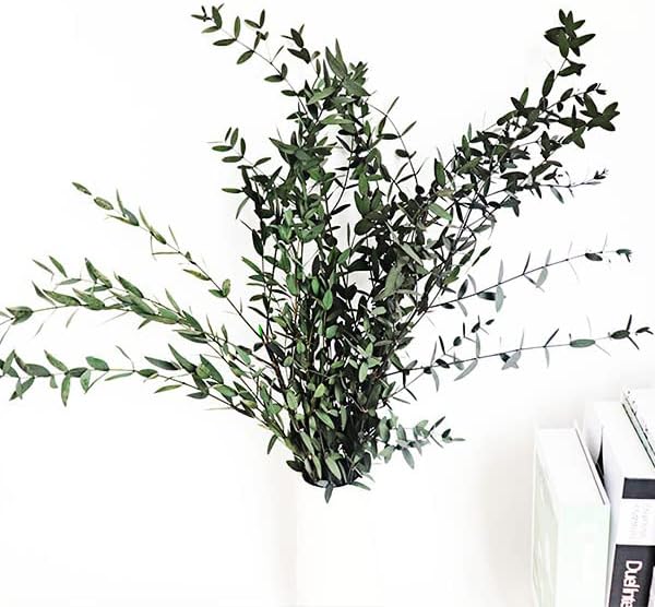 Dried eucalyptus stem (green) – natural and long-lasting decorative foliage, perfect for floral arrangements, home décor, and event styling, adds a fresh and elegant touch to vases, bouquets, and centerpieces.