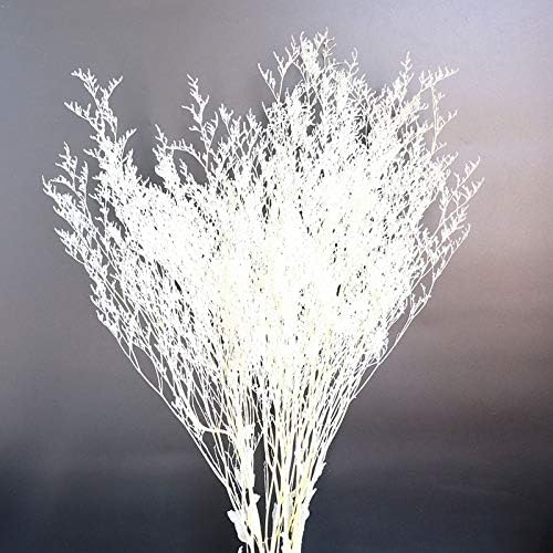Colorful reed (white) – soft and elegant dried pampas grass, perfect for home décor, floral arrangements, and event decorations, adds a natural and bohemian touch to vases, bouquets, and centerpieces.