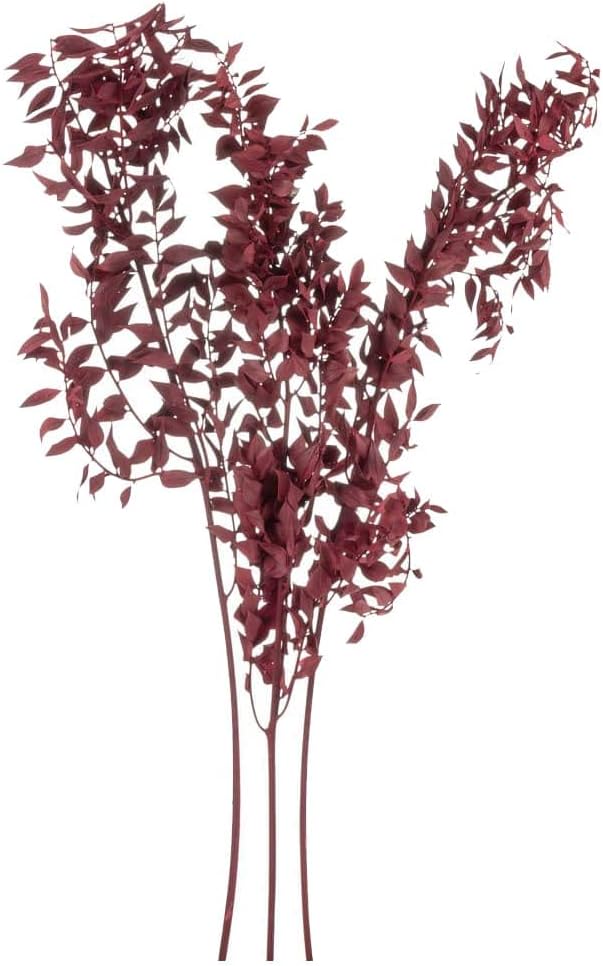 Dried eucalyptus stem (red) – vibrant and long-lasting decorative foliage, perfect for floral arrangements, home décor, and event styling, adds a bold and elegant touch to vases, bouquets, and centerpieces.
