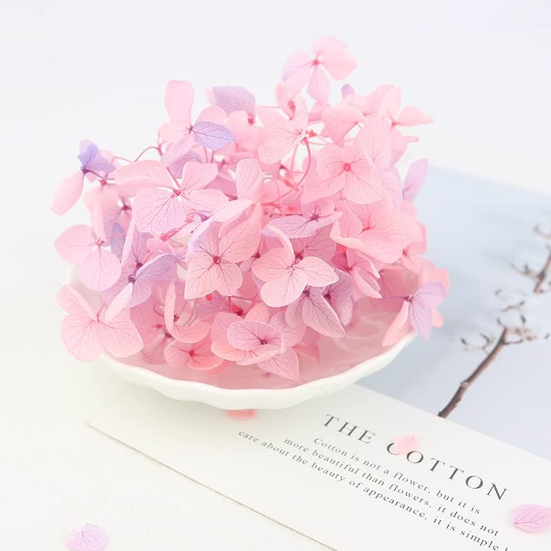 Hydrangea flower (cherry blossom pink) – lush and vibrant artificial or fresh blooms, perfect for weddings, home décor, and special occasions, elegant and full-bodied design adds a soft, romantic touch to any space.