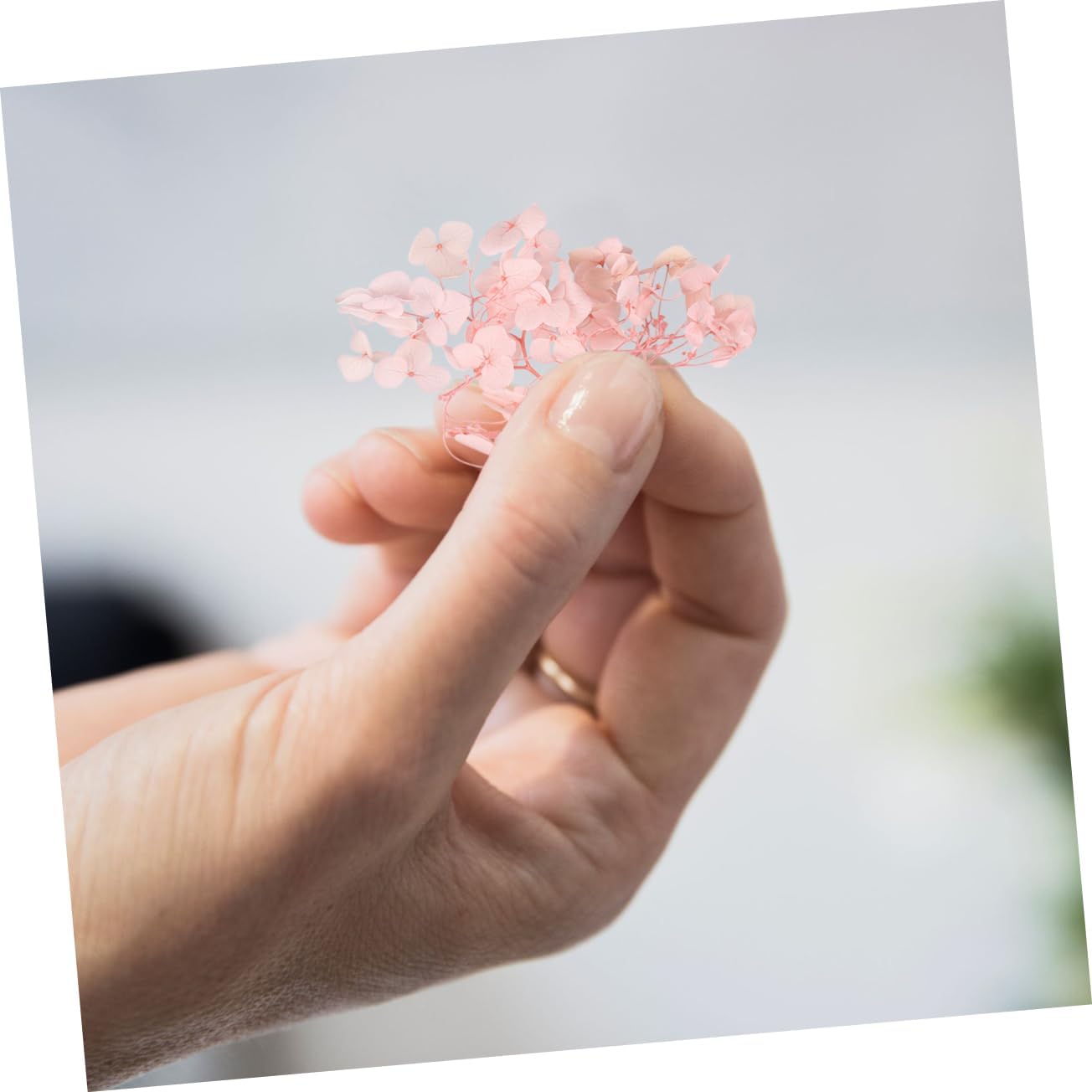 Hydrangea flower (bright pink) – bold and vibrant blooms, perfect for weddings, home décor, and special occasions, lush and full-bodied design adds a lively and elegant touch to any space.