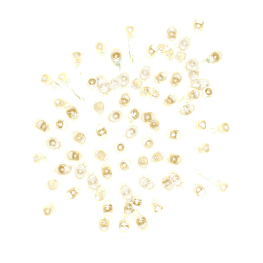 White 25 String Lights with Timer - Energy-Efficient LED Lights for Home Décor, Parties, and Seasonal Decorations - Convenient Timer Function for Easy Use and Ambient Lighting