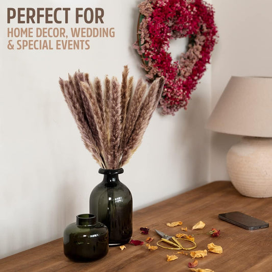Fluffy Colorful Natural Dry Pampas Grass - Customized Small Diverse Dried Pampas Stems for Floral Arrangements, Home Decor, and DIY Crafts - Vibrant and Eco-Friendly Foliage for Elegant Display