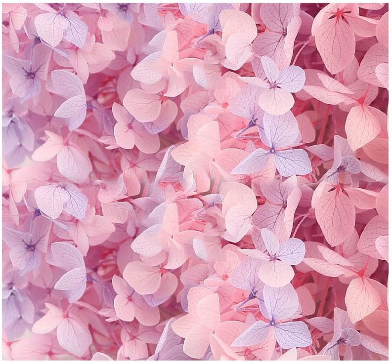 Hydrangea flower (cherry blossom pink) – lush and vibrant artificial or fresh blooms, perfect for weddings, home décor, and special occasions, elegant and full-bodied design adds a soft, romantic touch to any space.