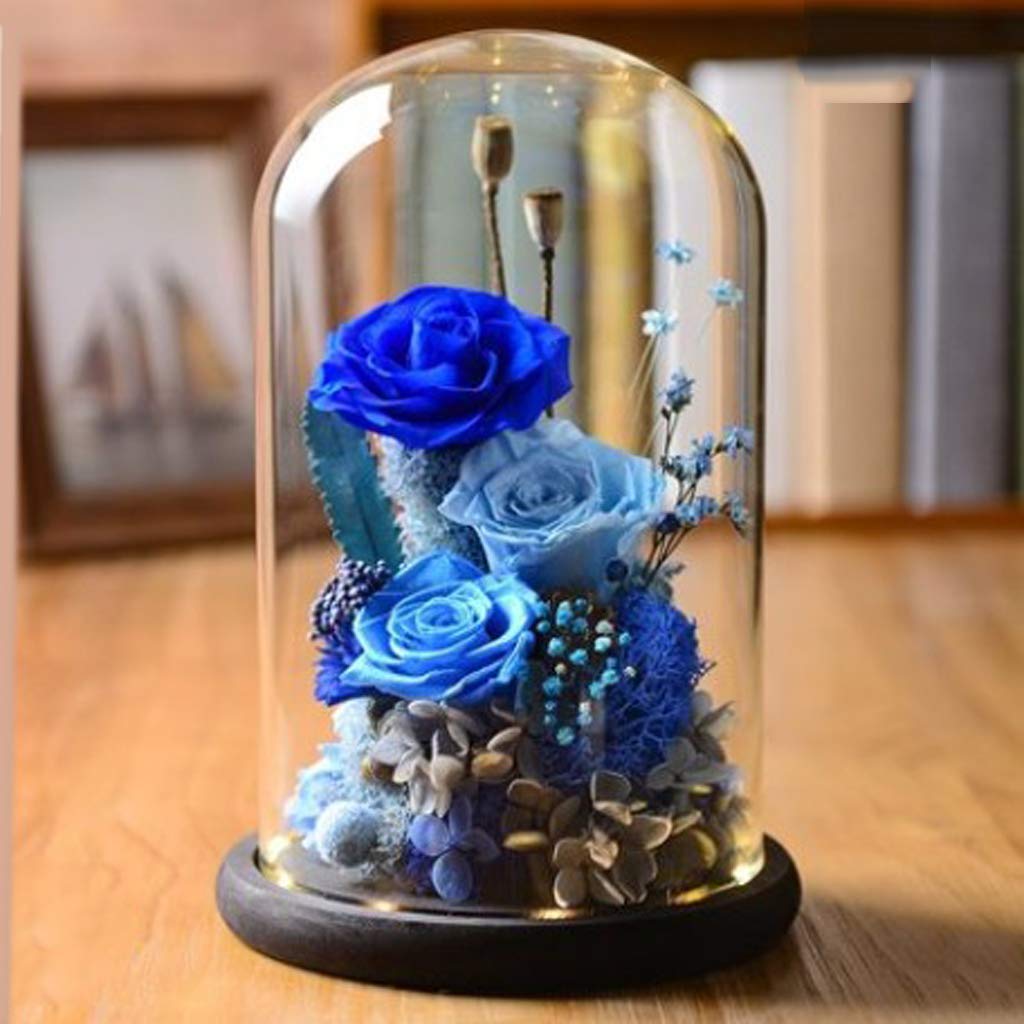 Decorative Glass Dome Cloche – Elegant Jar Container for Candles & Display – Clear Glass with Sturdy Base – Perfect for Home Décor, Weddings & Special Events – Protects & Showcases Items