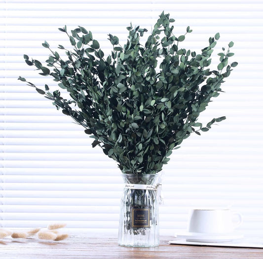 Dried eucalyptus stem (green) – natural and long-lasting decorative foliage, perfect for floral arrangements, home décor, and event styling, adds a fresh and elegant touch to vases, bouquets, and centerpieces.