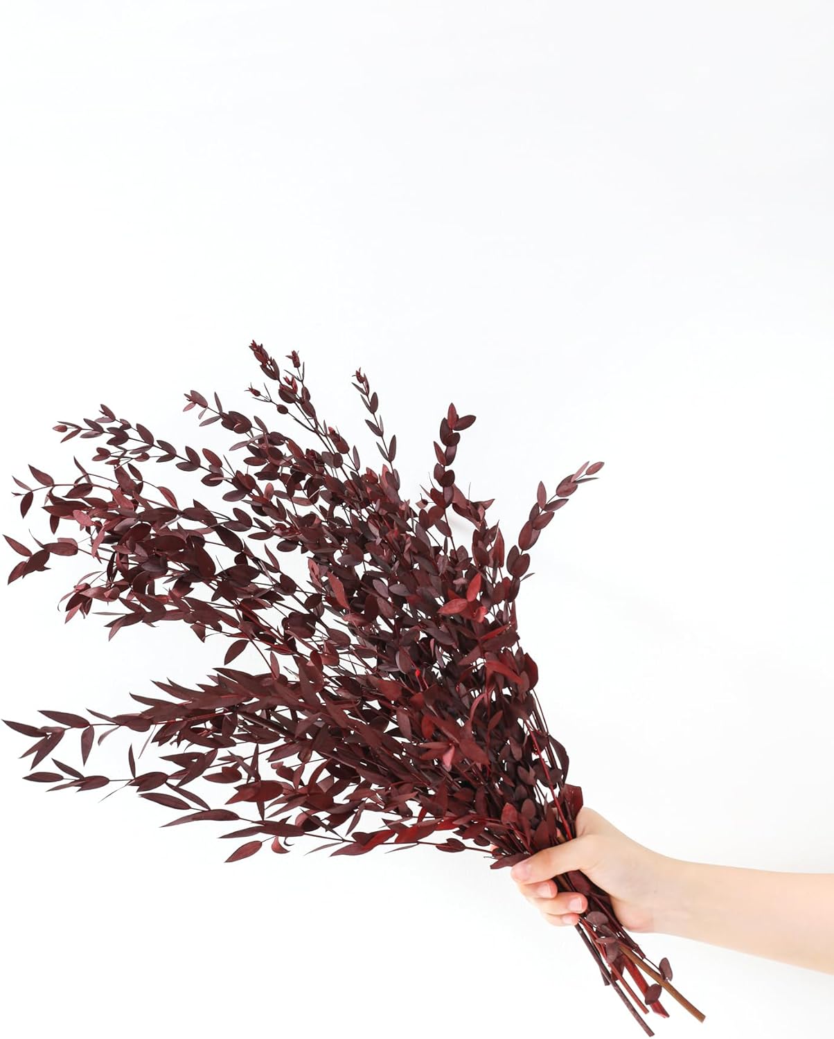 Dried eucalyptus stem (red) – vibrant and long-lasting decorative foliage, perfect for floral arrangements, home décor, and event styling, adds a bold and elegant touch to vases, bouquets, and centerpieces.