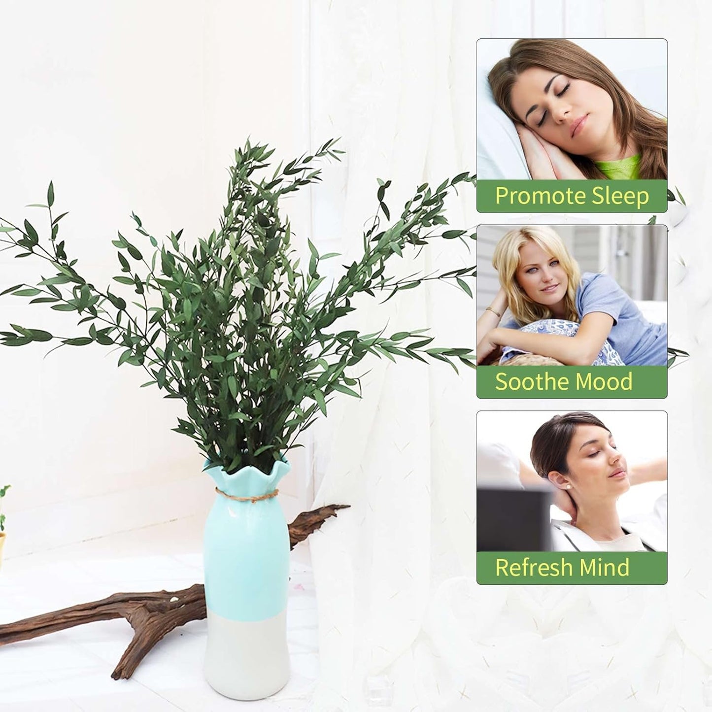 Dried eucalyptus stem (green) – natural and long-lasting decorative foliage, perfect for floral arrangements, home décor, and event styling, adds a fresh and elegant touch to vases, bouquets, and centerpieces.