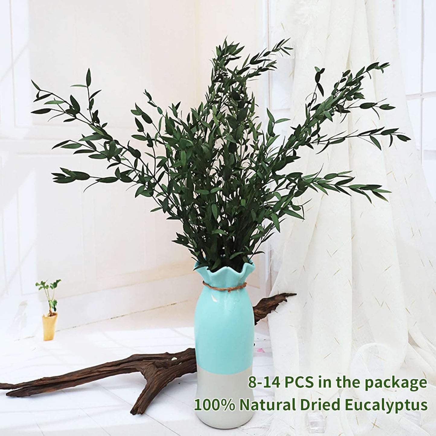 Dried eucalyptus stem (green) – natural and long-lasting decorative foliage, perfect for floral arrangements, home décor, and event styling, adds a fresh and elegant touch to vases, bouquets, and centerpieces.