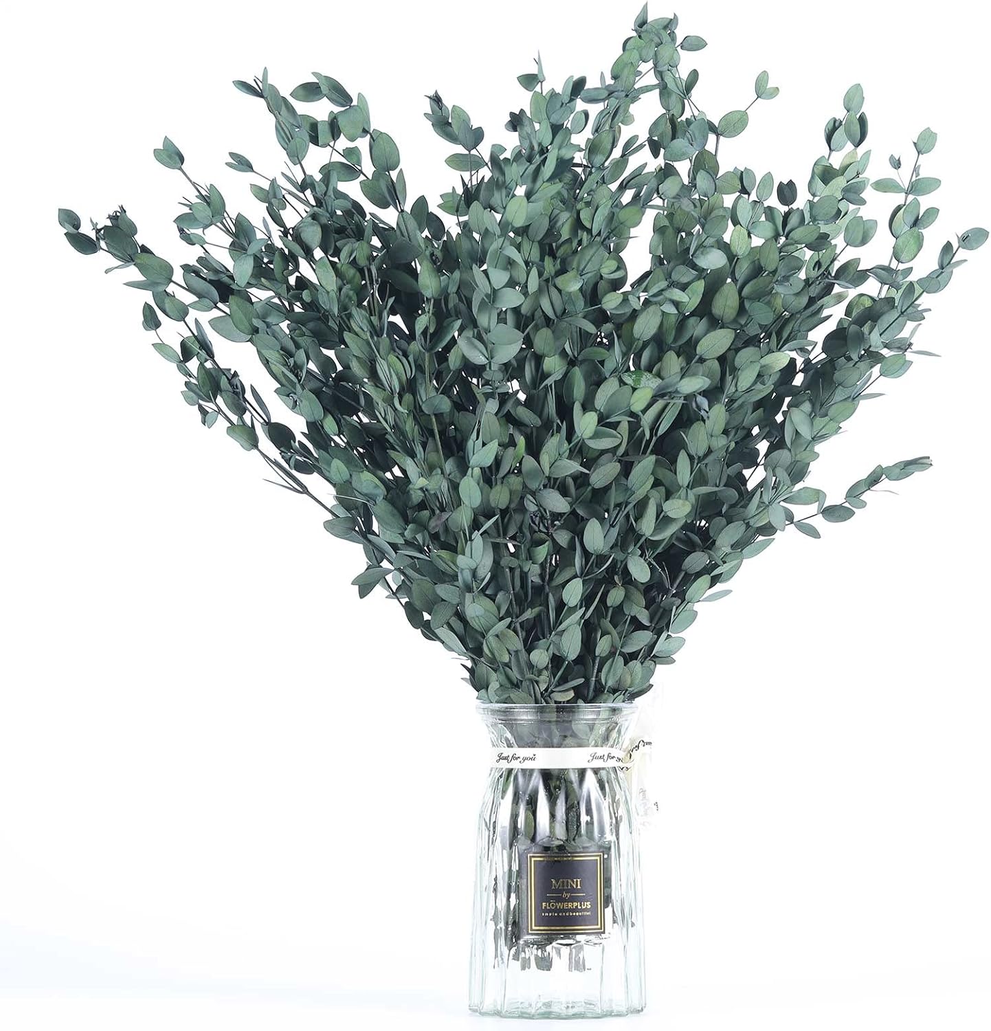 Dried eucalyptus stem (green) – natural and long-lasting decorative foliage, perfect for floral arrangements, home décor, and event styling, adds a fresh and elegant touch to vases, bouquets, and centerpieces.