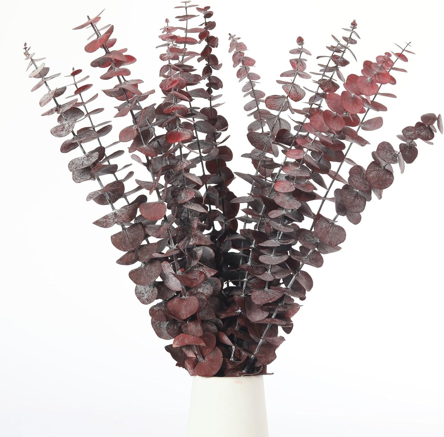 Dried eucalyptus bouquet (red) – vibrant and long-lasting decorative foliage, perfect for floral arrangements, home décor, and event styling, adds a bold and elegant touch to vases, bouquets, and centerpieces.