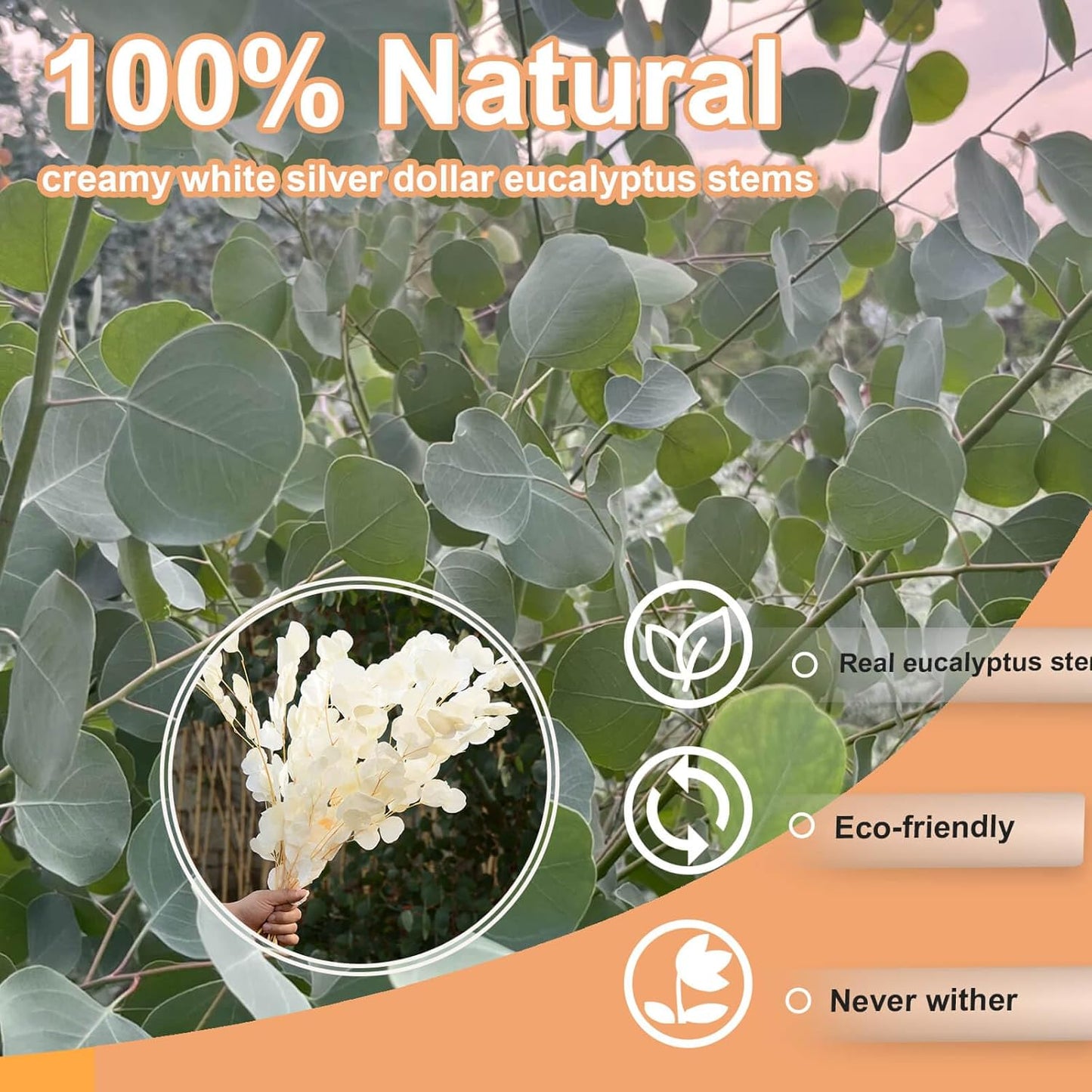 Colorful apple leaf (white) – elegant and realistic decorative foliage, perfect for floral arrangements, home décor, and seasonal displays, adds a soft and sophisticated touch to vases, wreaths, and centerpieces.