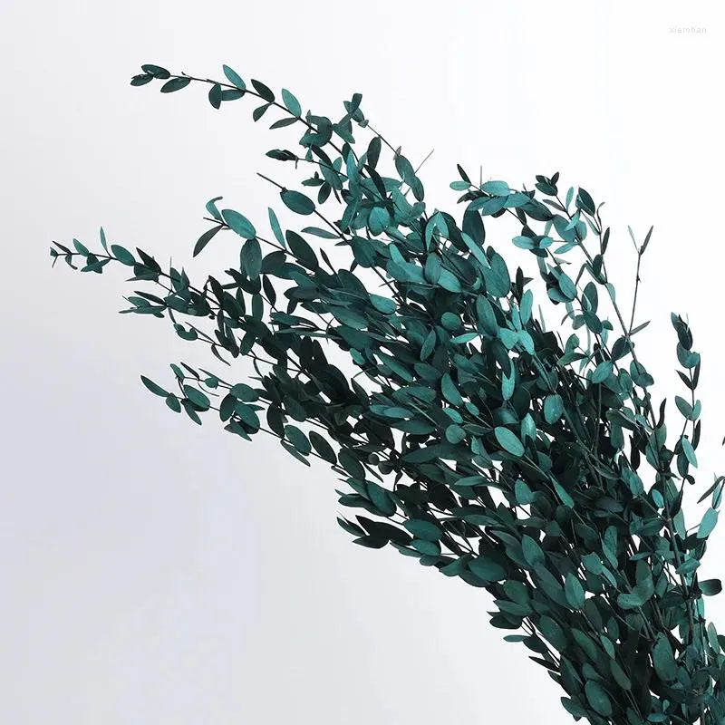 Dried eucalyptus stem (blue) – elegant and long-lasting decorative foliage, perfect for floral arrangements, home décor, and event styling, adds a natural and refreshing touch to vases, bouquets, and centerpieces.