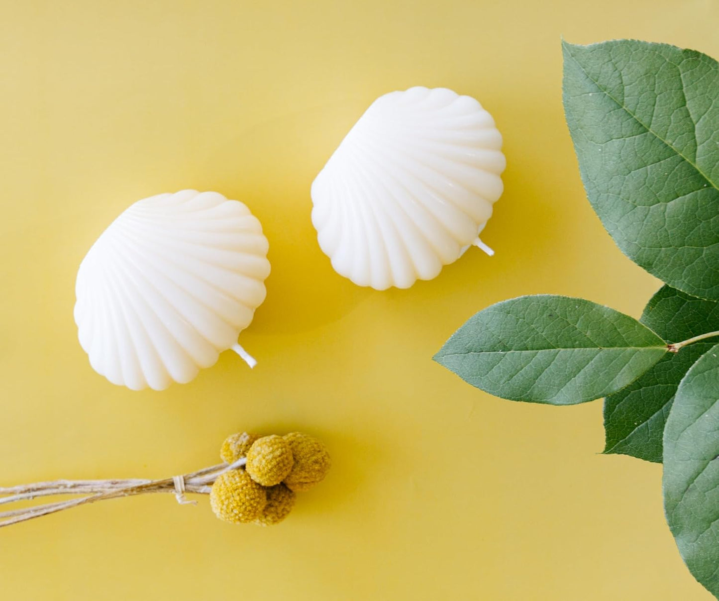 Handmade White Oyster Soy Candle - Premium Natural Soy Wax, Clean Burn, and Long-Lasting Fragrance - Eco-Friendly Aromatherapy Candle in Unique Oyster-Inspired Design - Perfect for Coastal Home Décor, Relaxation, and Gift Giving