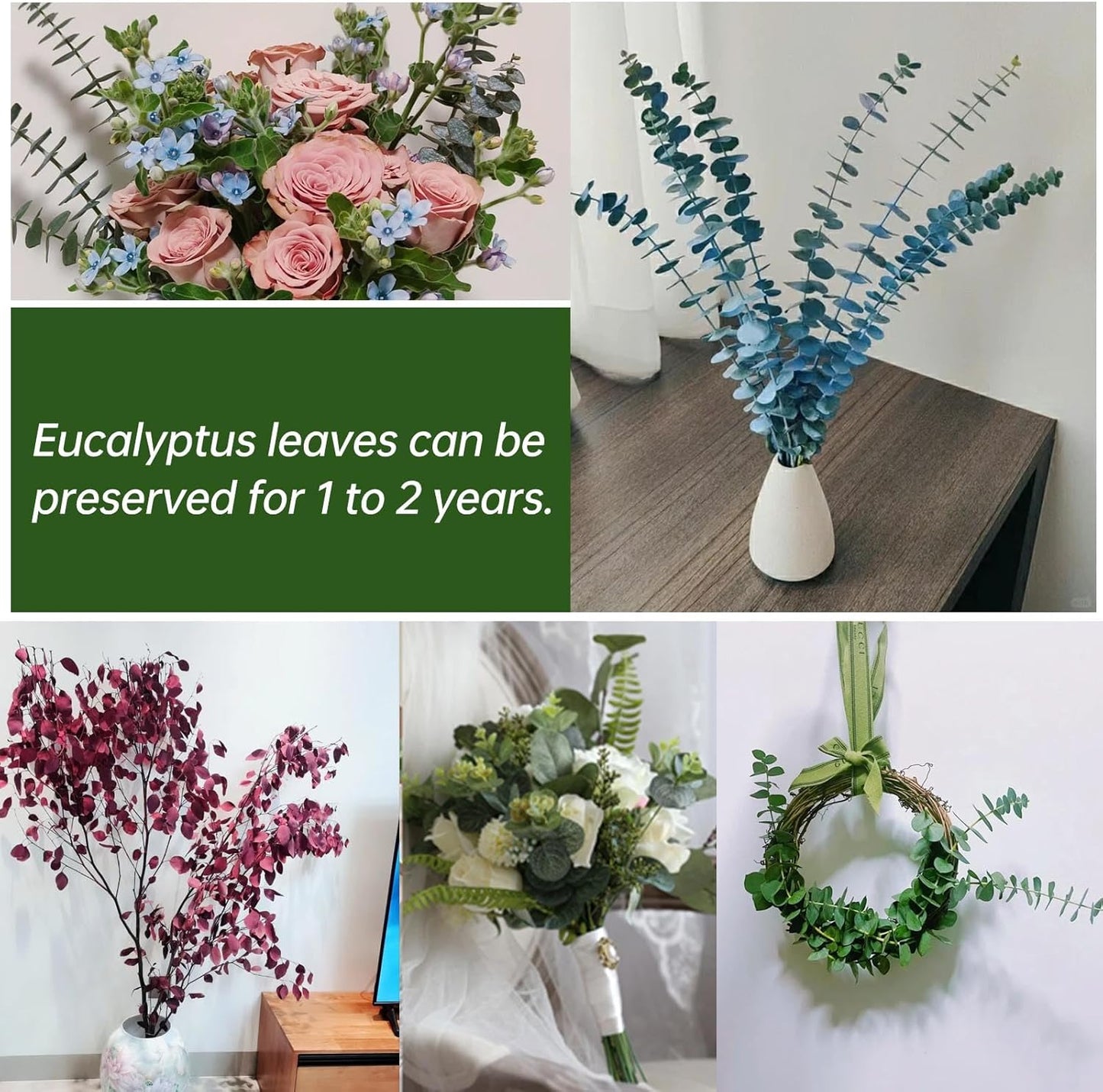 Dried eucalyptus bouquet (blue) – elegant and long-lasting decorative foliage, perfect for floral arrangements, home décor, and event styling, adds a unique and calming touch to vases, bouquets, and centerpieces.