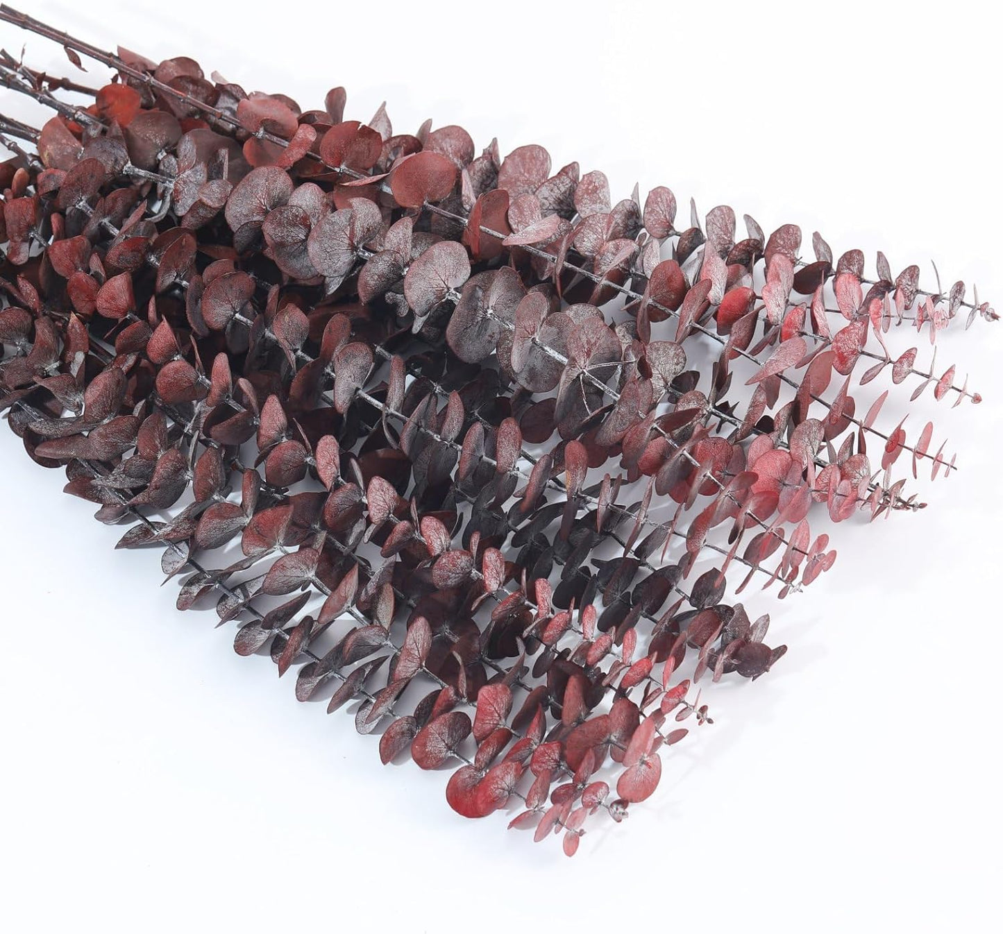 Dried eucalyptus bouquet (red) – vibrant and long-lasting decorative foliage, perfect for floral arrangements, home décor, and event styling, adds a bold and elegant touch to vases, bouquets, and centerpieces.