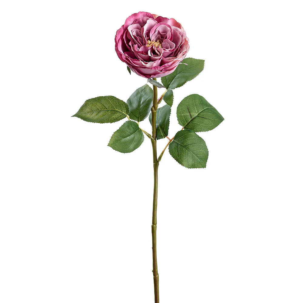 Garden Rose Dusty Rose 50 cm - Realistic Artificial Rose Stem with Elegant Dusty Rose Blooms - Perfect for Floral Arrangements, Bouquets, Wreaths, and Home Décor - Long-Lasting and Low Maintenance