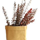 Dried eucalyptus bouquet (red) – vibrant and long-lasting decorative foliage, perfect for floral arrangements, home décor, and event styling, adds a bold and elegant touch to vases, bouquets, and centerpieces.
