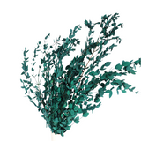 Dried eucalyptus stem (blue) – elegant and long-lasting decorative foliage, perfect for floral arrangements, home décor, and event styling, adds a natural and refreshing touch to vases, bouquets, and centerpieces.