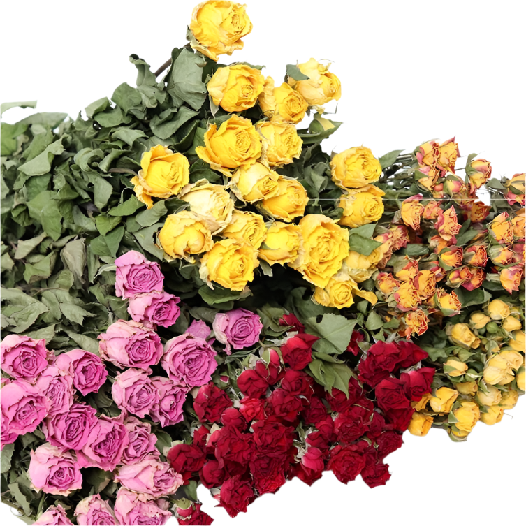 Rose bouquet – beautiful and fresh floral arrangement, perfect for weddings, anniversaries, birthdays, and special occasions, available in various colors and styles, elegantly wrapped for gifting or home décor.