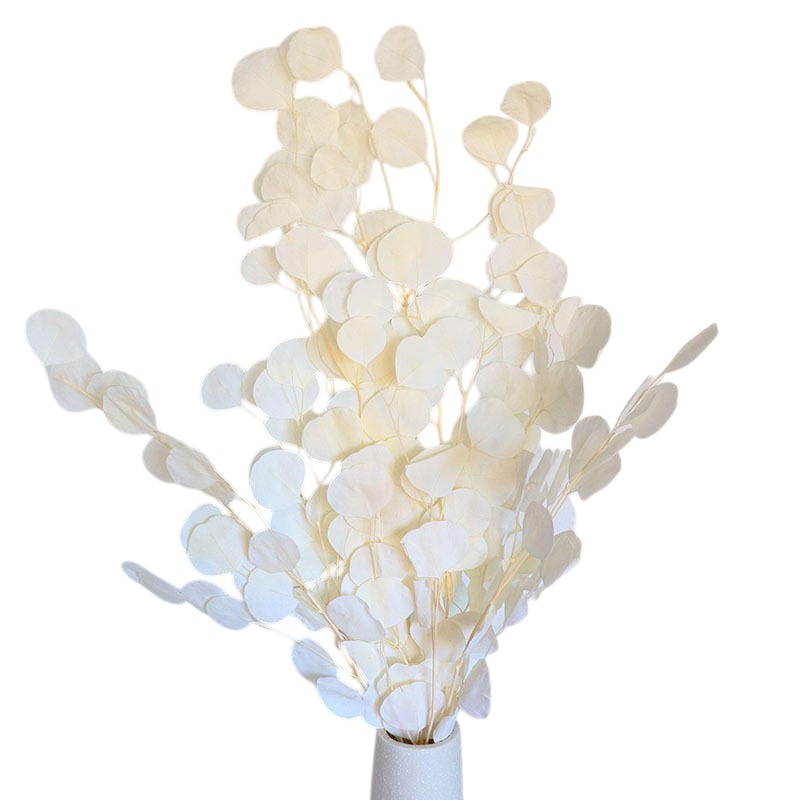 Colorful apple leaf (white) – elegant and realistic decorative foliage, perfect for floral arrangements, home décor, and seasonal displays, adds a soft and sophisticated touch to vases, wreaths, and centerpieces.