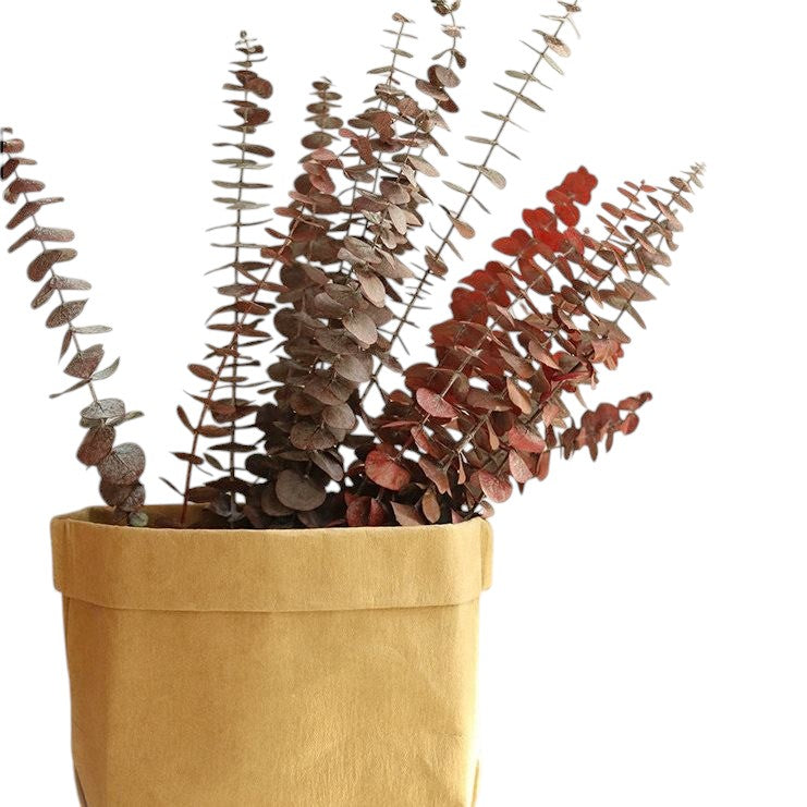 O-040 Immortal Natural Dried Eucalyptus Leaves - Preserved and Handmade Bouquet for Weddings, Parties, and DIY Gifts - Elegant and Long-Lasting Floral Arrangement for Decoration and Crafting