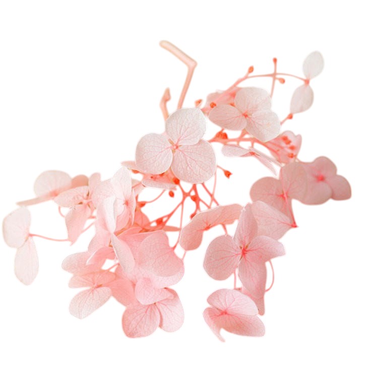 Hydrangea flower (cherry blossom pink) – lush and vibrant artificial or fresh blooms, perfect for weddings, home décor, and special occasions, elegant and full-bodied design adds a soft, romantic touch to any space.