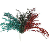 O-043 Eco-friendly Real Fine Eucalyptus Leaf - Preserved Natural Dried Eucalyptus Stem for Crafts and Decor - Sustainable, Long-Lasting Green Foliage for Wreaths, Floral Arrangements, and DIY Projects