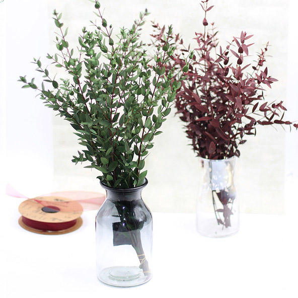 O-040 Immortal Natural Dried Eucalyptus Leaves - Preserved and Handmade Bouquet for Weddings, Parties, and DIY Gifts - Elegant and Long-Lasting Floral Arrangement for Decoration and Crafting