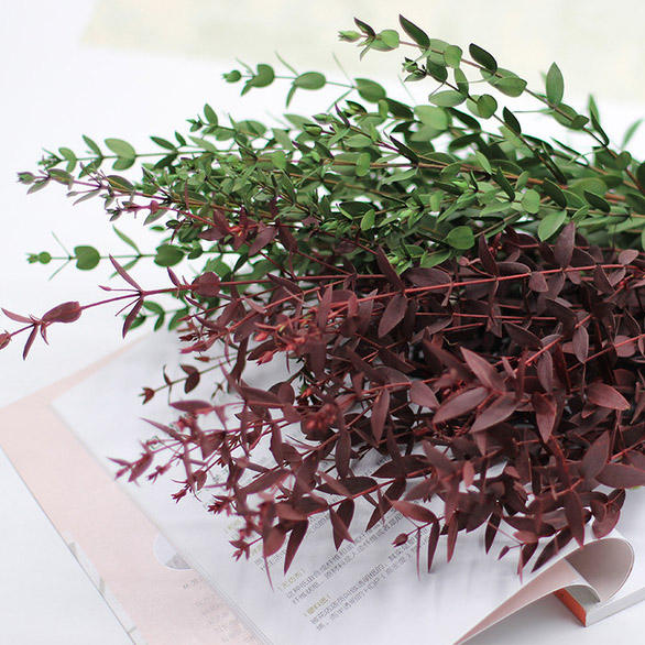 O-043 Eco-friendly Real Fine Eucalyptus Leaf - Preserved Natural Dried Eucalyptus Stem for Crafts and Decor - Sustainable, Long-Lasting Green Foliage for Wreaths, Floral Arrangements, and DIY Projects