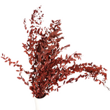 Dried eucalyptus stem (red) – vibrant and long-lasting decorative foliage, perfect for floral arrangements, home décor, and event styling, adds a bold and elegant touch to vases, bouquets, and centerpieces.