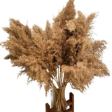 Small pampas