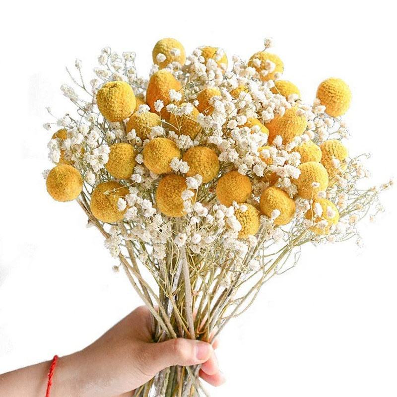 Yellow ball