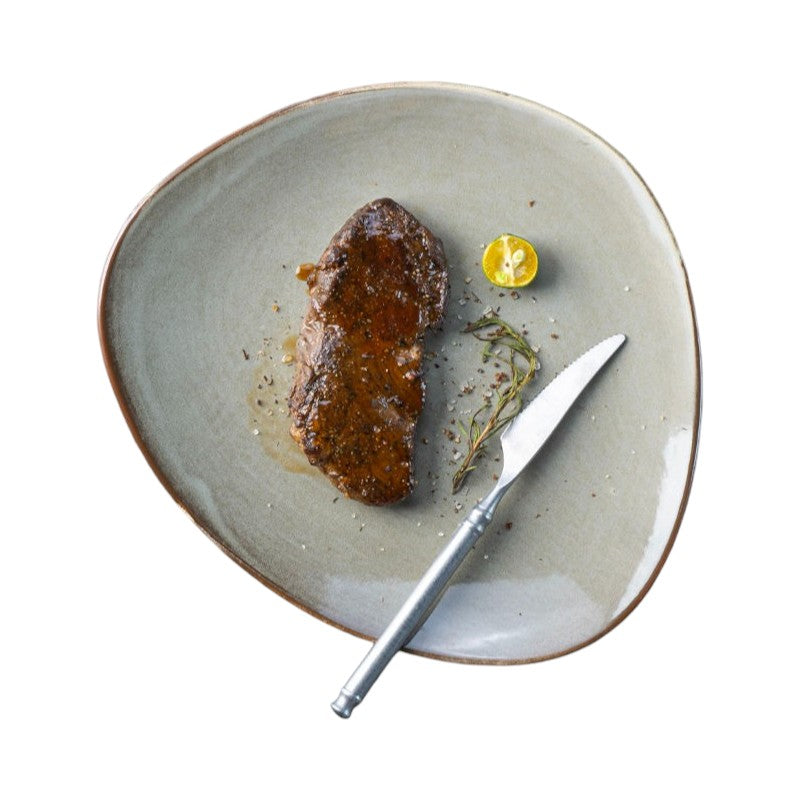 Japandi 8.5" Dinner Plate
