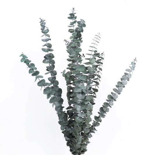 Dried eucalyptus bouquet (blue) – elegant and long-lasting decorative foliage, perfect for floral arrangements, home décor, and event styling, adds a unique and calming touch to vases, bouquets, and centerpieces.