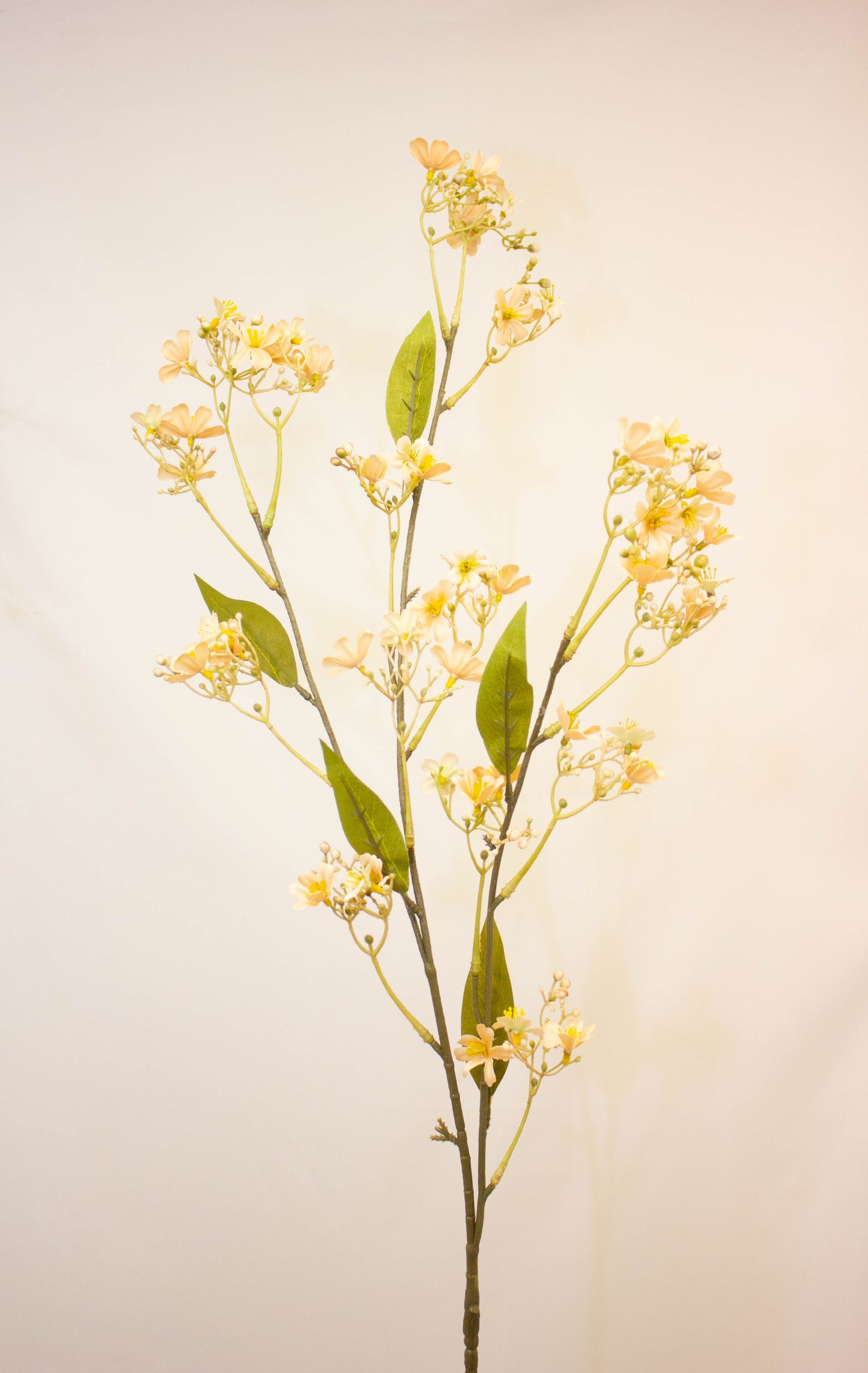 Daphne Spray Cream/Brown (Dry Look) - Realistic Artificial Daphne Stem with Cream and Brown Tones - Perfect for Floral Arrangements, Wreaths, Bouquets, and Home Décor - Long-Lasting and Low Maintenance