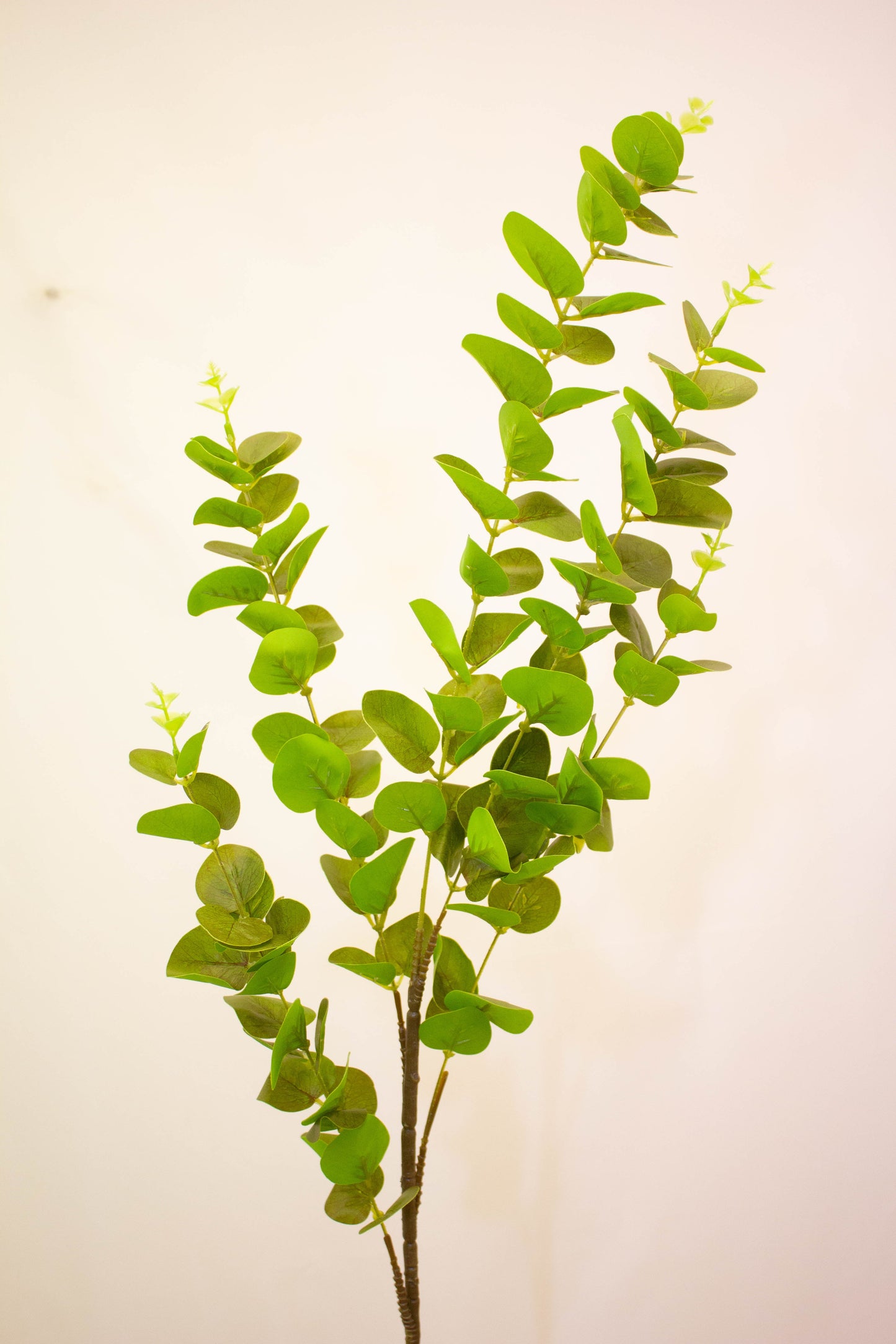 Eucalyptus Spray Green - Realistic Artificial Eucalyptus Stem with Lush Green Leaves - Perfect for Floral Arrangements, Wreaths, Bouquets, and Home Décor - Long-Lasting and Low Maintenance
