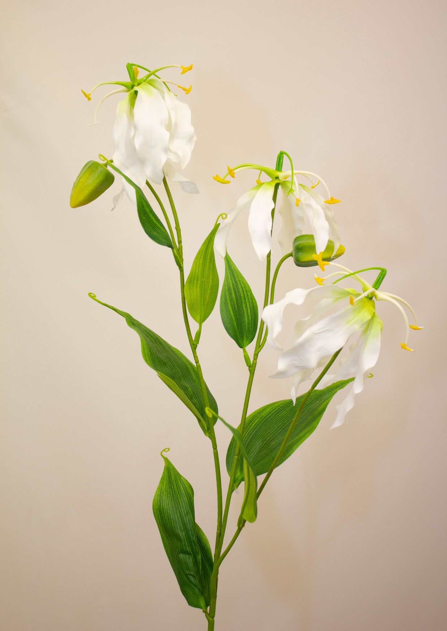 Gloriosa Spray Ivory - Realistic Artificial Gloriosa Stem with Elegant Ivory Blooms - Perfect for Floral Arrangements, Bouquets, Wreaths, and Home Décor - Long-Lasting and Low Maintenance