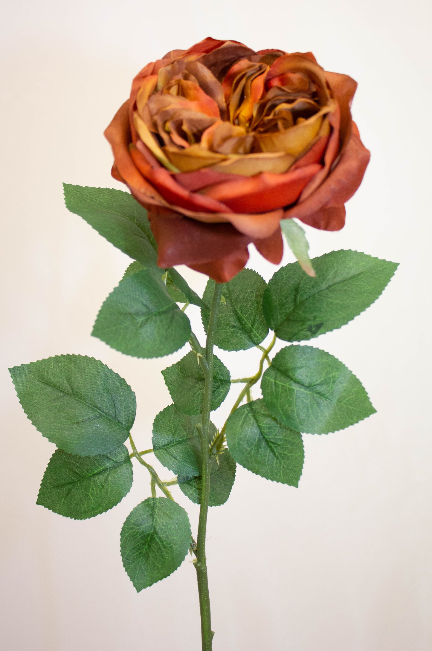 Garden Rose Orange/Brown 50 cm (GR5017) - Realistic Artificial Rose Stem with Warm Orange and Brown Blooms - Perfect for Floral Arrangements, Bouquets, Wreaths, and Home Décor - Long-Lasting and Low Maintenance