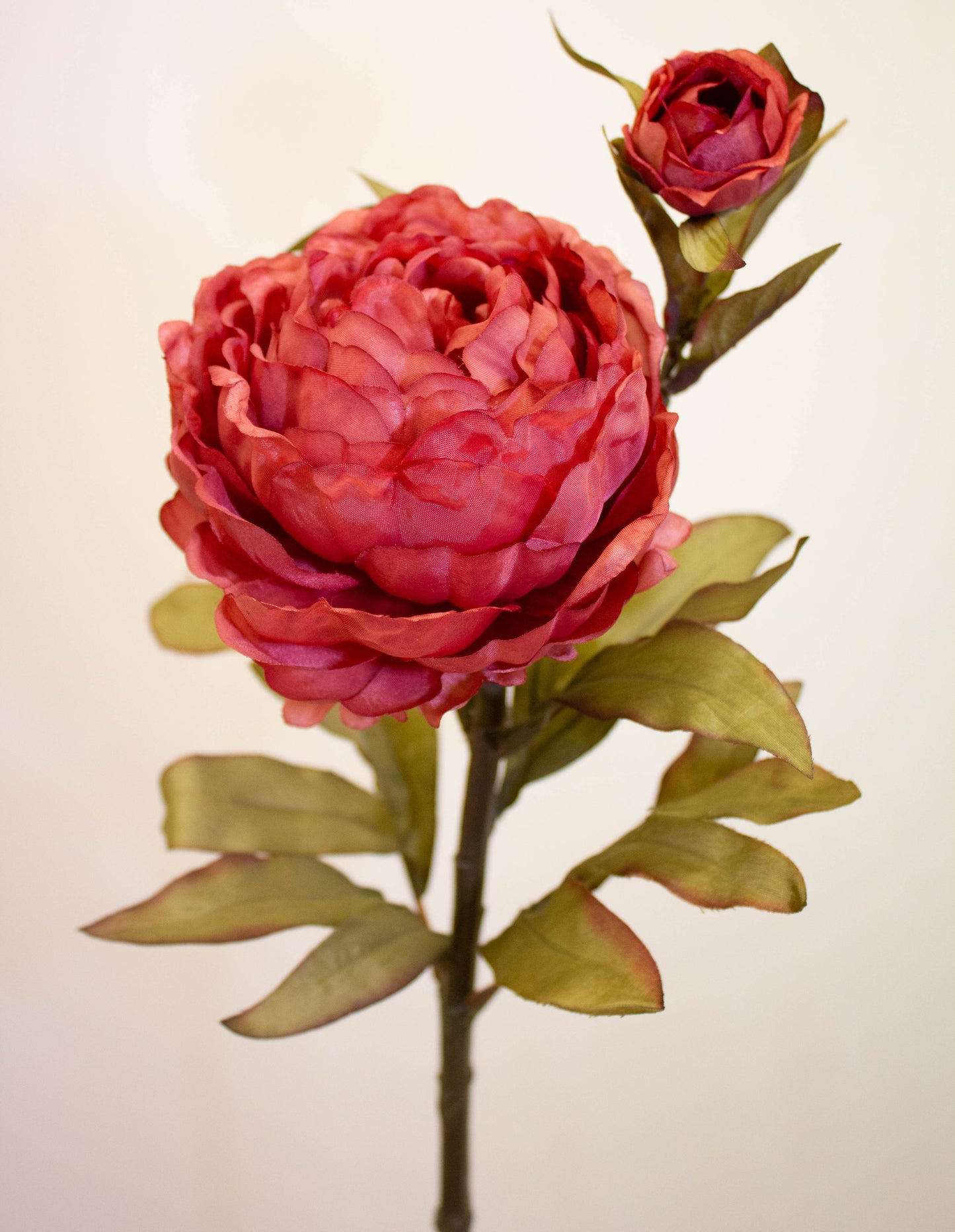 Peony Dusty Rose 64 cm - Realistic Artificial Peony Stem with Soft Dusty Rose Blooms - Perfect for Floral Arrangements, Bouquets, Wreaths, and Home Décor - Long-Lasting and Low Maintenance